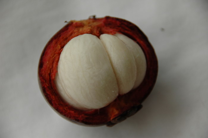 莽吉柿 Garcinia mangostana 莽吉柿 Garcinia mangostana