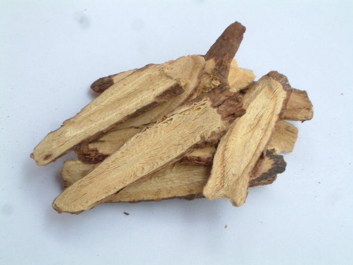 甘草Glycyrrhiza uralensis 甘草Glycyrrhiza uralensis