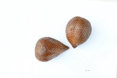 蛇皮果Salacca zalacca