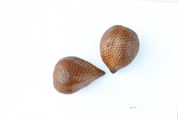 蛇皮果Salacca zalacca 蛇皮果Salacca zalacca
