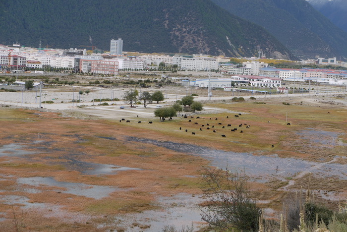西藏林芝乳娘湿地