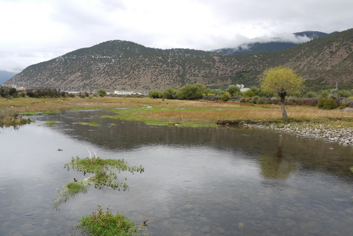 西藏林芝乳娘湿地