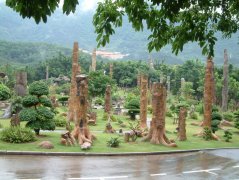 广东深圳仙湖植物园