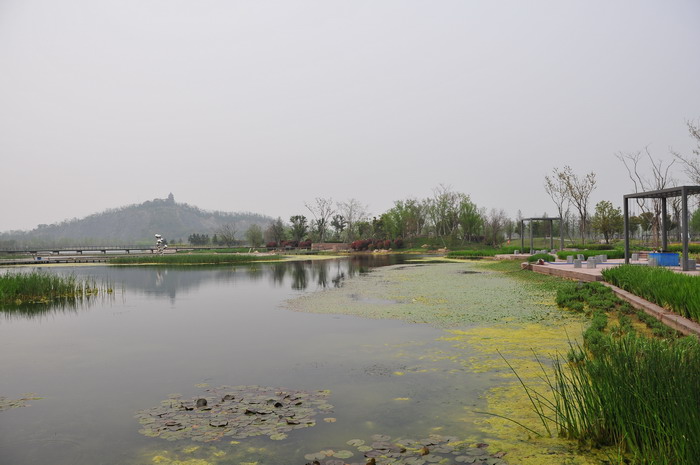 上海辰山植物园