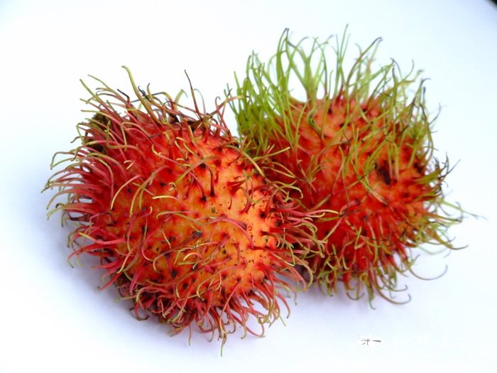红毛丹Nephelium lappaceum 红毛丹Nephelium lappaceum